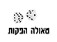 טאולה הפקות